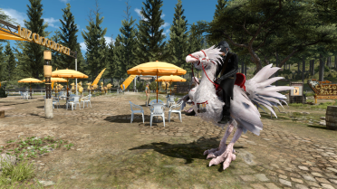 Albino Chocobo