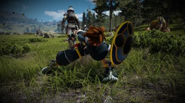 Kingdom Hearts - Knight's Shield