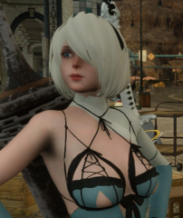 Nier Automata 2B DLC Broken Cloth
