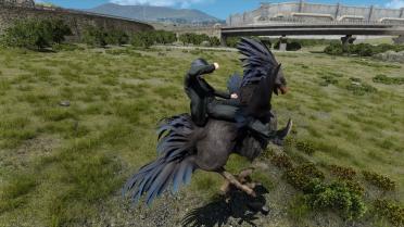 Black Chocobo
