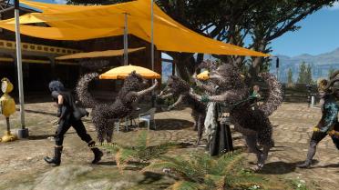 Umbra (Chocobo for riding)