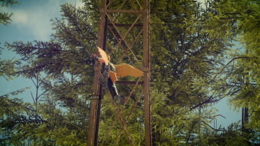 Chocobo Wing&Tail (Male,accessory)