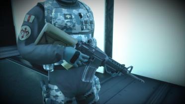 M4 Carbine (Rapidus SMG Skin)