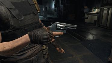 Smith Wesson 629-6 for Blacktail