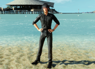 Glasses Style (Noctis)