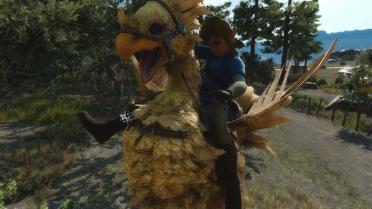 Link (Champion's Tunic)