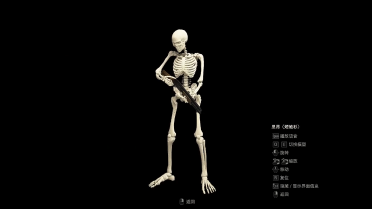 Resident Evil 4 Remake Skeleton Leon