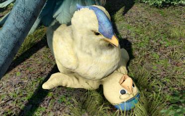 Kenny like Chickatrice (Noctis)