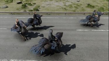 Black Chocobo