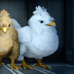 Chickchocobo (for Ravus)