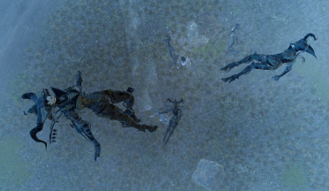 The Rogue (as Shiva)