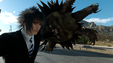 Adamant Tortoise (Shield)