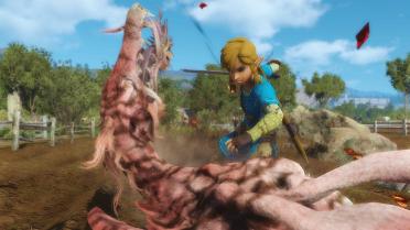 Link (Champion's Tunic)