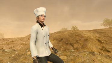Chef Ignis Outfit