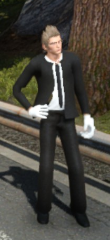 Suits (for Ignis)
