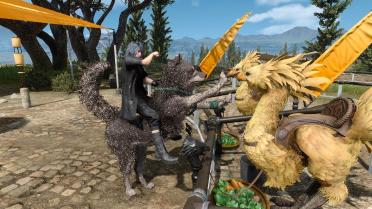 Umbra (Chocobo for riding)