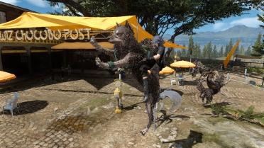 Umbra (Chocobo for riding)