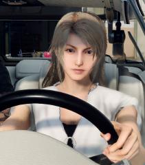 Stella Nox Fleuret - Noctis