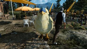 Baby Chickatrice(for Chocobo)