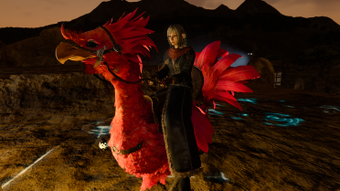 Winter Aranea (for Iris)