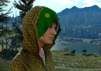 Tonberry hoodie (female multi)