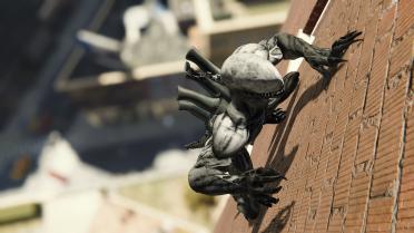 The Xenomorph Symbiote