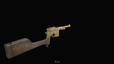 Golden Red9 and SR M1903