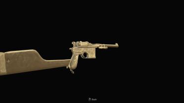 Golden Red9 and SR M1903