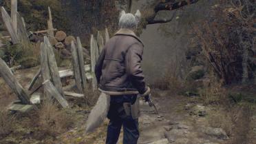 Wolf Leon (ears and tail always open)