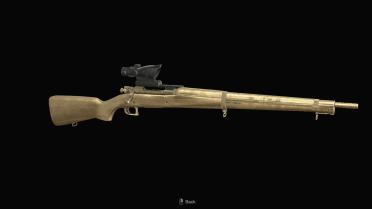 Golden Red9 and SR M1903