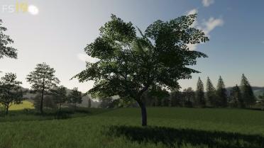 Placeable Trees