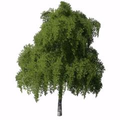 Placeable Trees