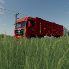 Foton Auman GTL Dump Truck