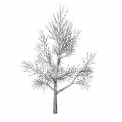 Placeable Trees