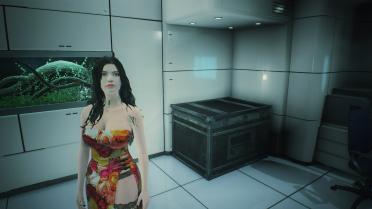 Ada & Claire Chinese Cheongsam Long hair