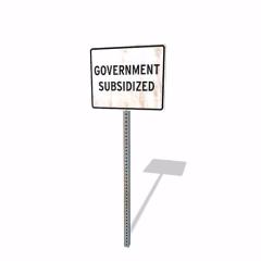 Government Subsidy