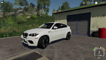 Vehicle: BMW X6