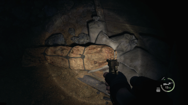 First Person View (BETA)