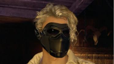 Face Guard - Darker lenses