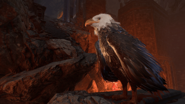 Druid Wild Shape Overhaul