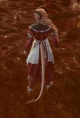 Druu's Clothes and Armours