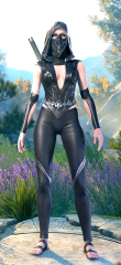 Assassin's Outfit