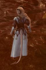 Druu's Clothes and Armours