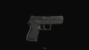Counter Strike 2 - P250