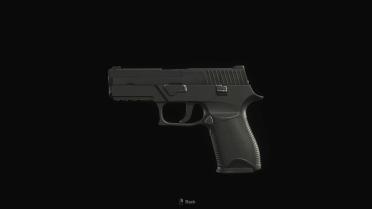 Counter Strike 2 - P250