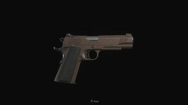 Kimber Desert Warrior 1911