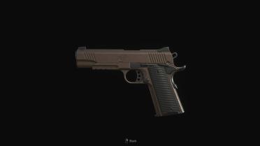 Kimber Desert Warrior 1911