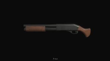 Counter Strike 2 - Sawed Off