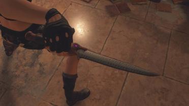 REimagined Tomb Raider - Addon - Dagger of Xian