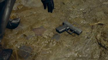 Various variations of Blacktail